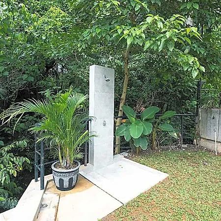 Greenforest Anahata