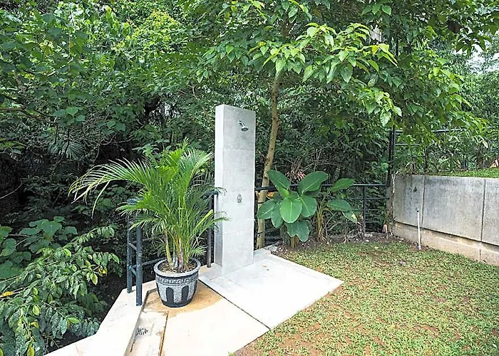 Greenforest Anahata Buduk